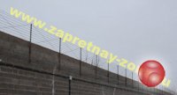Колючая проволока Егоза в Санкт-Петербурге