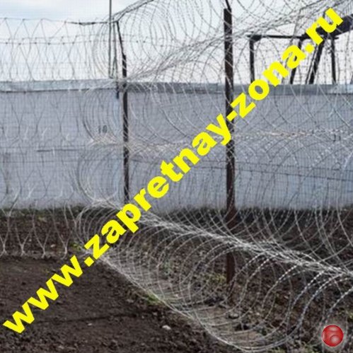 Колючая проволока Егоза  . Монтаж , продажа в Санкт-Петербурге