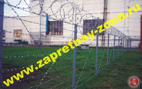Колючая проволока Егоза   . Монтаж . Продажа во Владимире