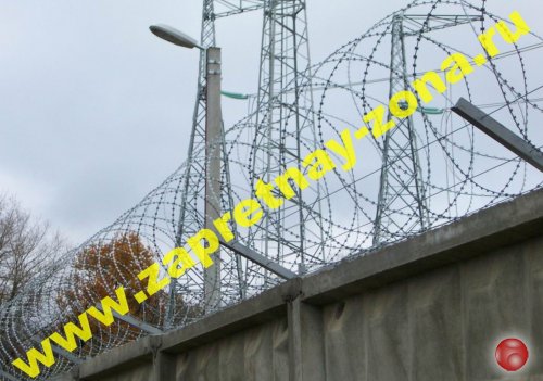 Колючая проволока Егоза в Санкт-Петербурге