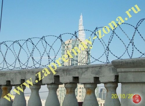 Колючая проволока Егоза в Санкт-Петербурге