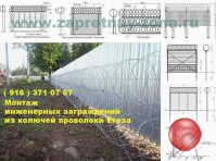 Колючая проволока Егоза в Нижнем Новгороде .
